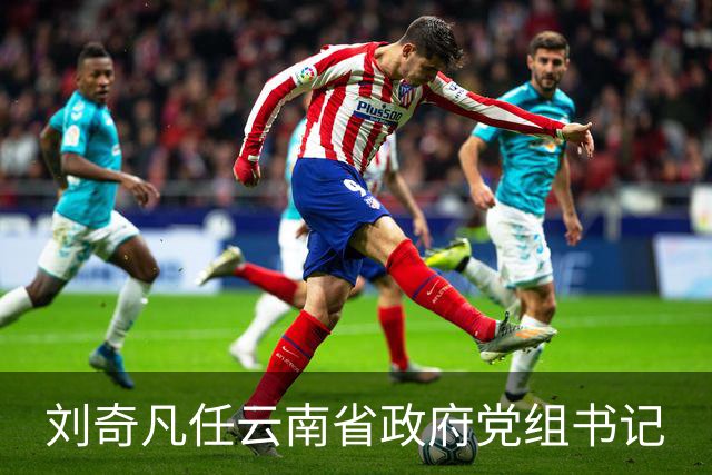 刘奇凡任云南省政府党组书记